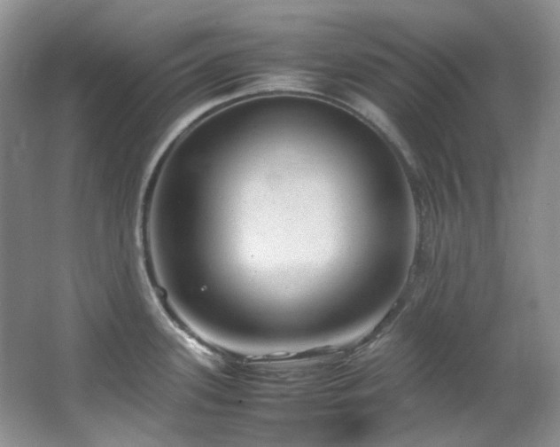 X0000064771339200602101239