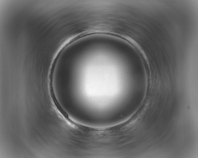 X0000064771341200602101239