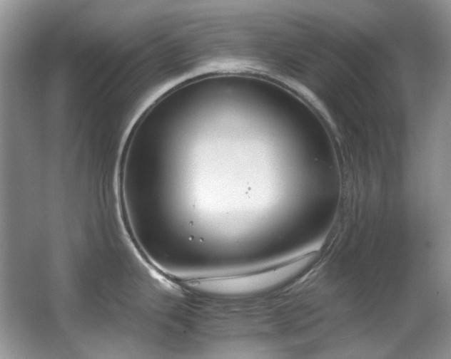 X0000064771343200602101239