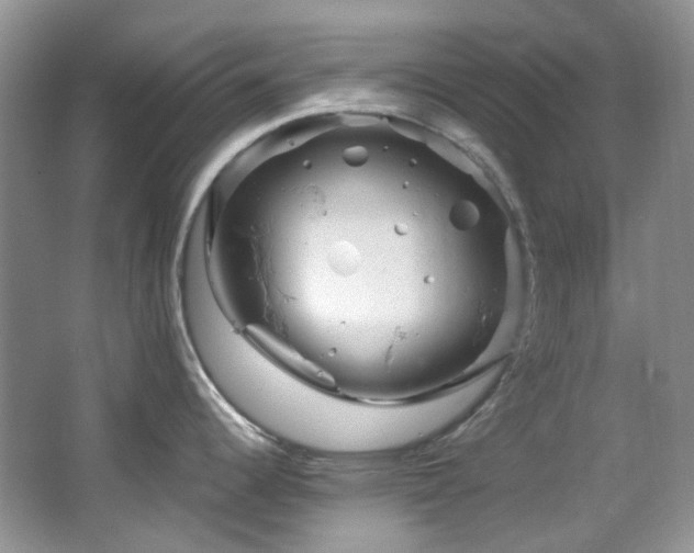 X0000064771344200602101239