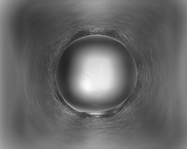 X0000064771345200602101238