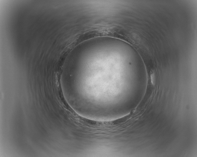 X0000064771347200602101238
