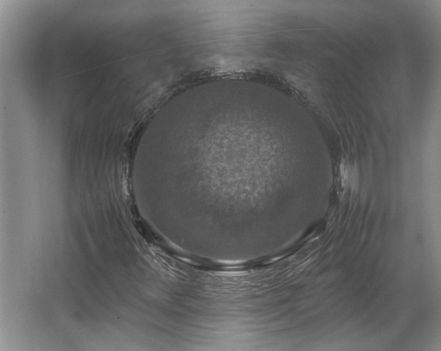 X0000064771348200602101238