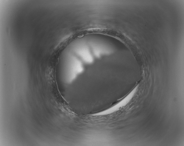 X0000064771351200602101238
