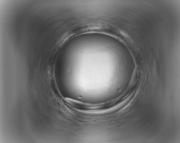 X0000064771353200602101238