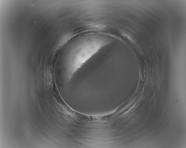 X0000064771354200602101238