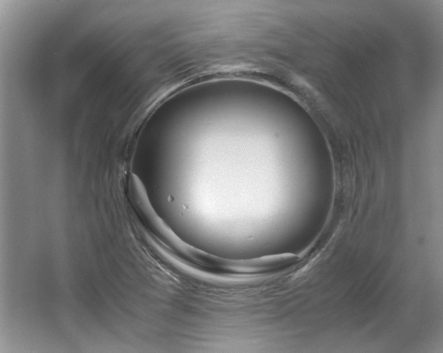 X0000064771361200602101238
