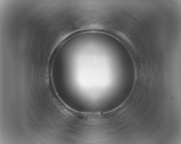 X0000064771364200602101238
