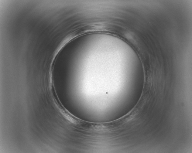 X0000064771370200602101238