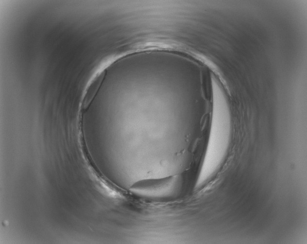 X0000064771373200602101238