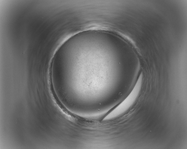 X0000064771375200602101238