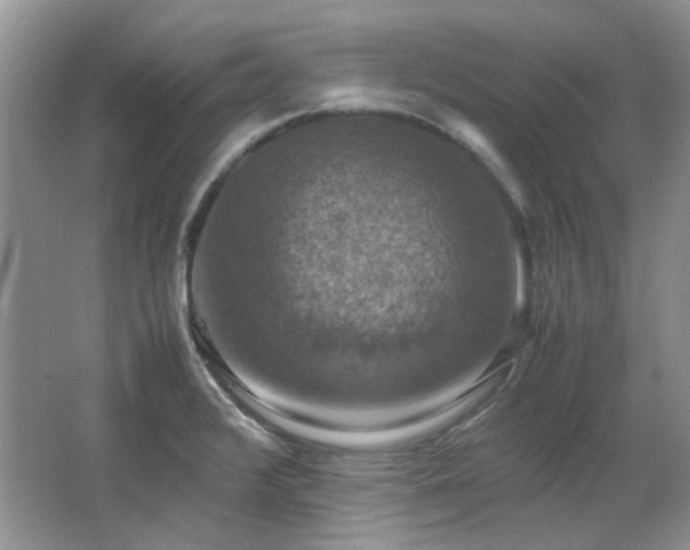 X0000064771376200602101238