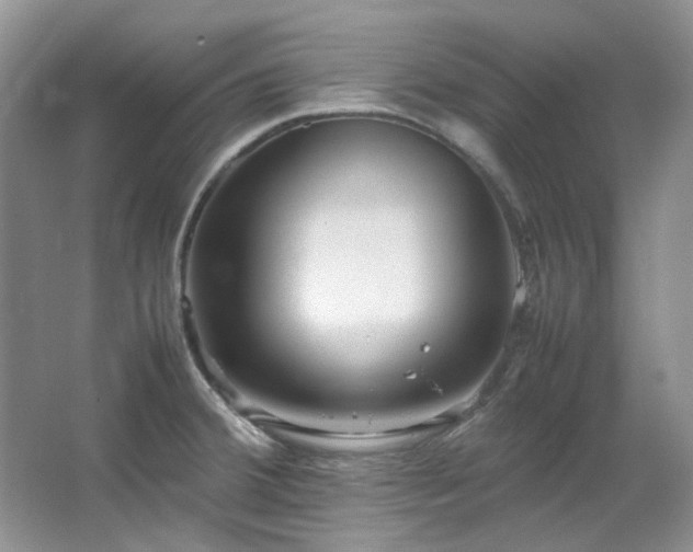 X0000064771380200602101238