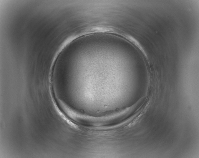 X0000064771381200602101238