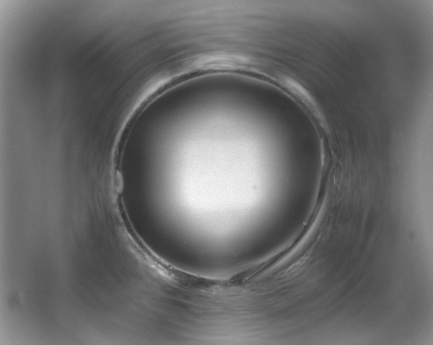 X0000064771384200602101238