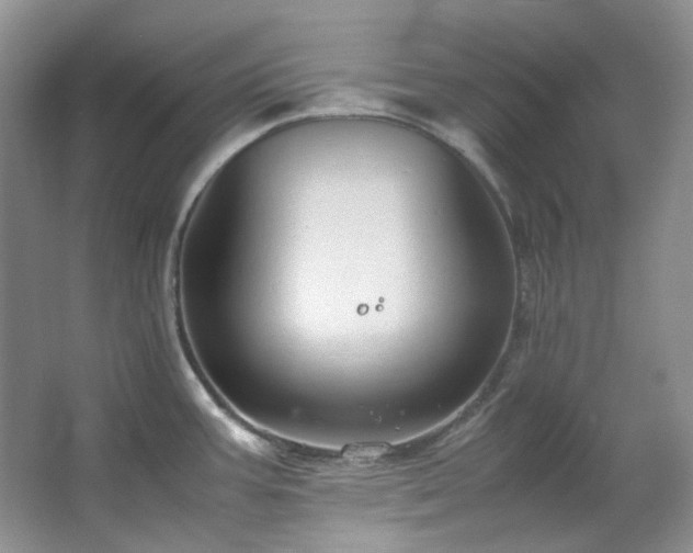 X0000064771387200602101238