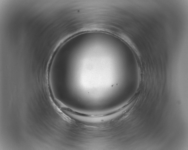 X0000064771388200602101238