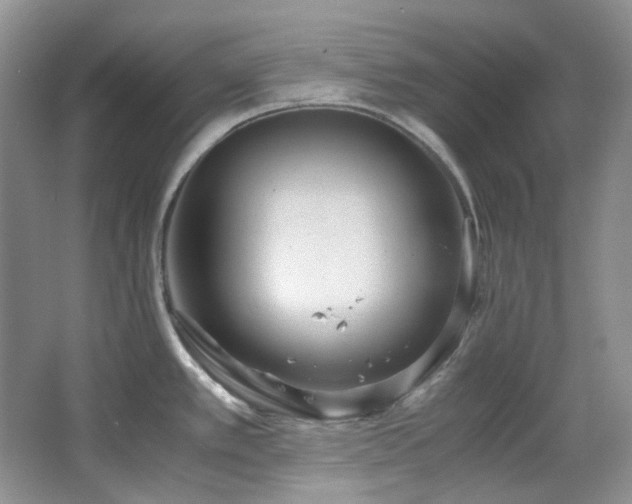X0000064771389200602101238