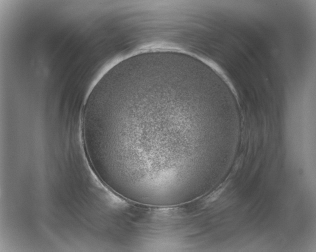 X0000064771390200602101238