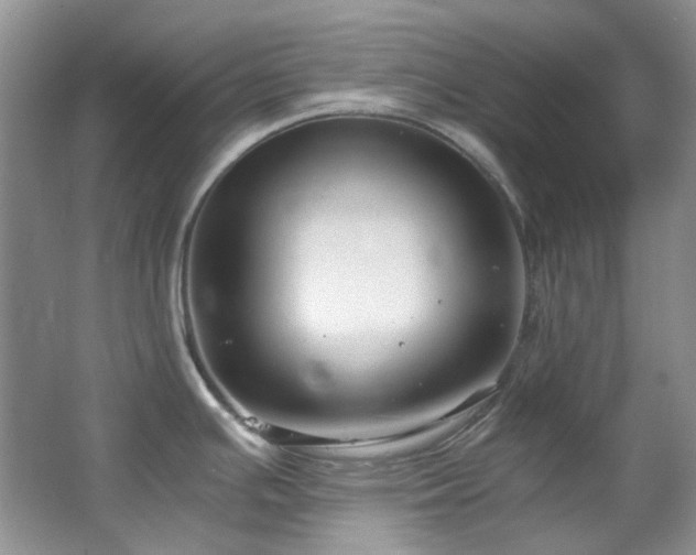 X0000064771391200602101238