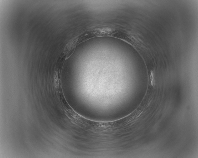 X0000064771395200602101237