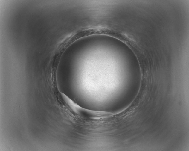 X0000064771398200602101237