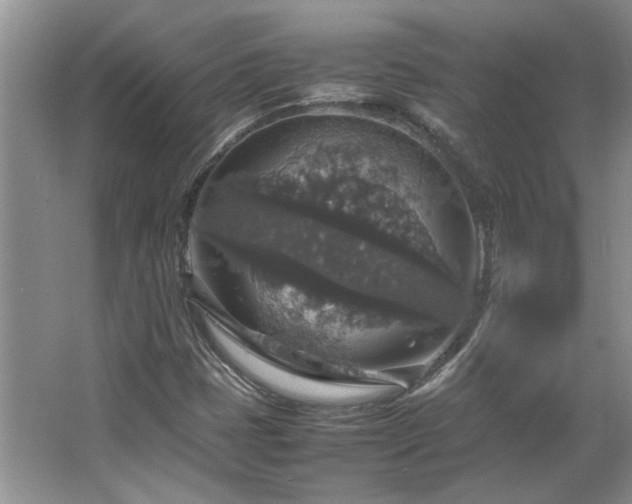 X0000064771401200602101237