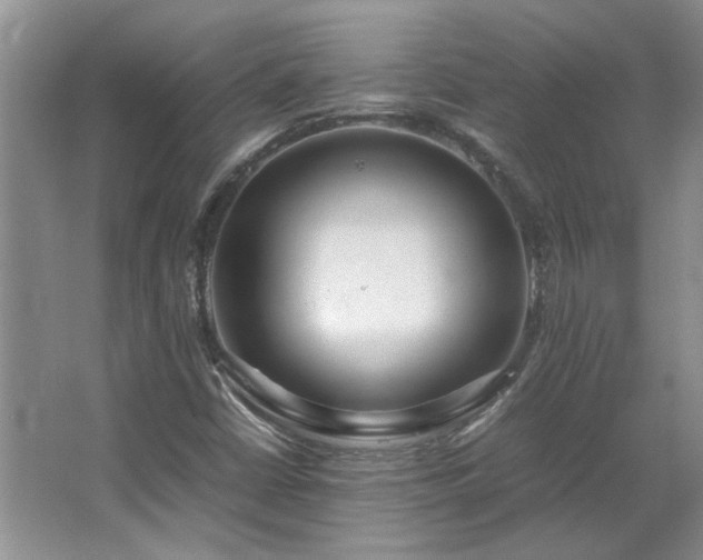 X0000064771402200602101237