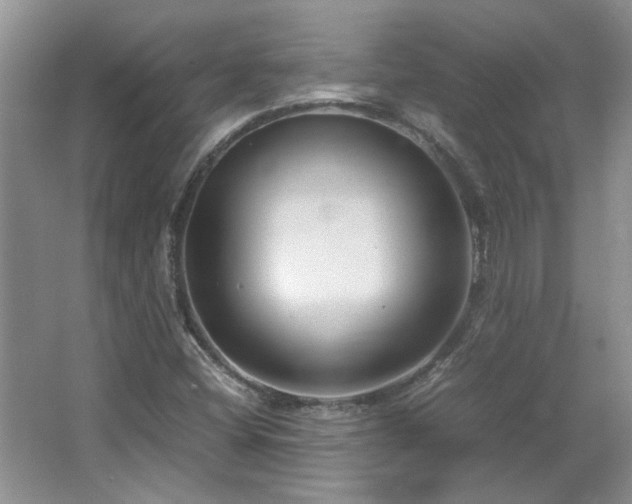 X0000064771404200602101237