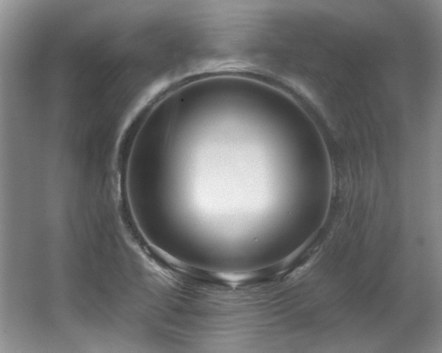 X0000064771414200602101237