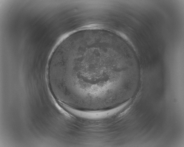 X0000064771421200602101237
