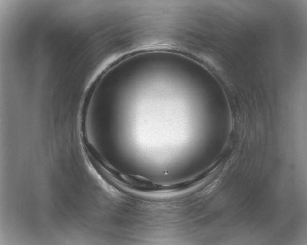 X0000064771422200602101237