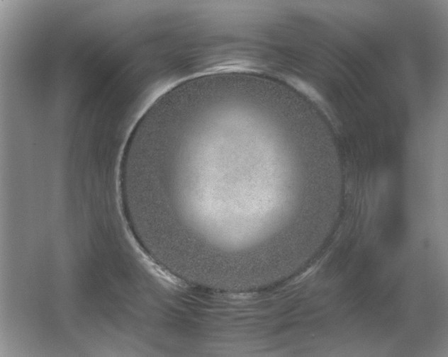X0000064771423200602101237