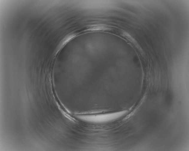 X0000064771425200602101237