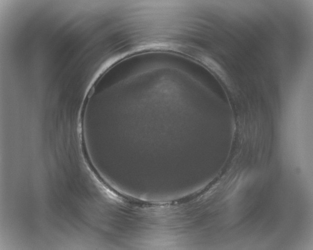 X0000064771428200602101237