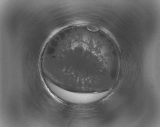 X0000064771429200602101237