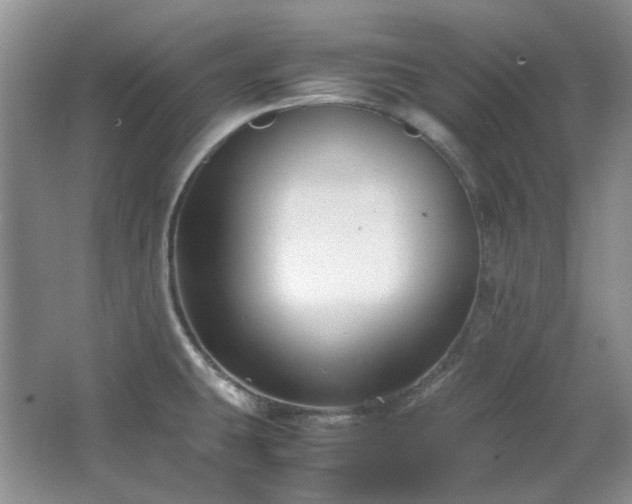 X0000064771431200602101237