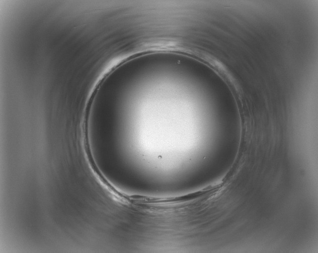 X0000064771432200602101237