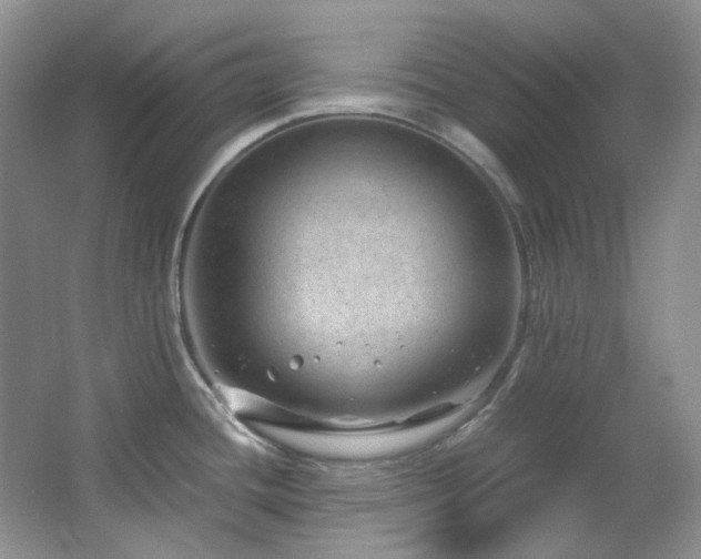 X0000064771436200602101237