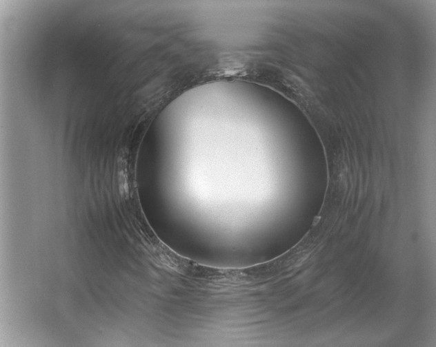 X0000064771442200602101237