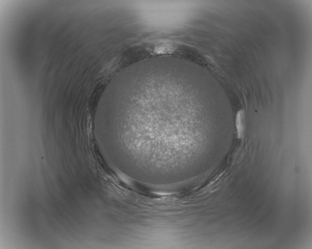 X0000064771443200602101237