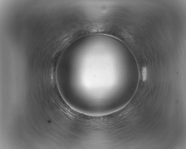 X0000064771444200602101237