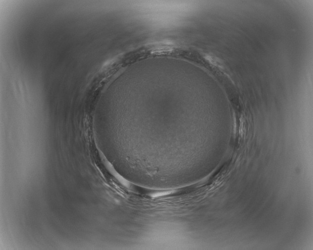 X0000064771445200602101237