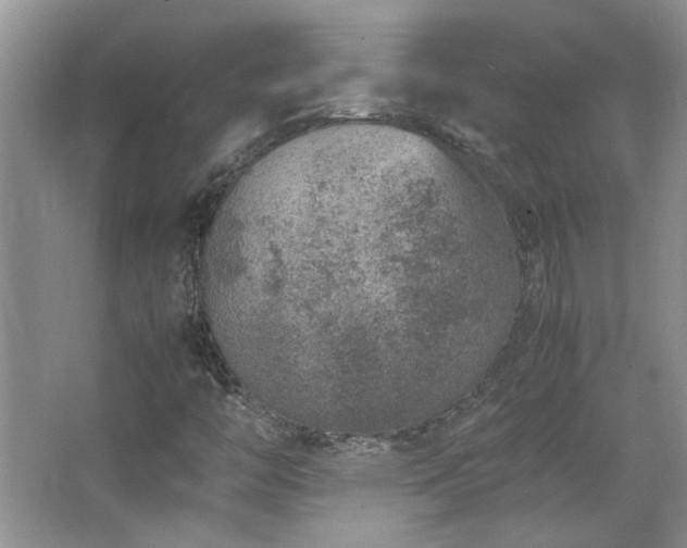 X0000064771446200602101237