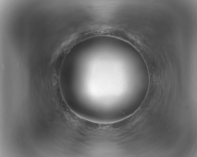 X0000064771447200602101237