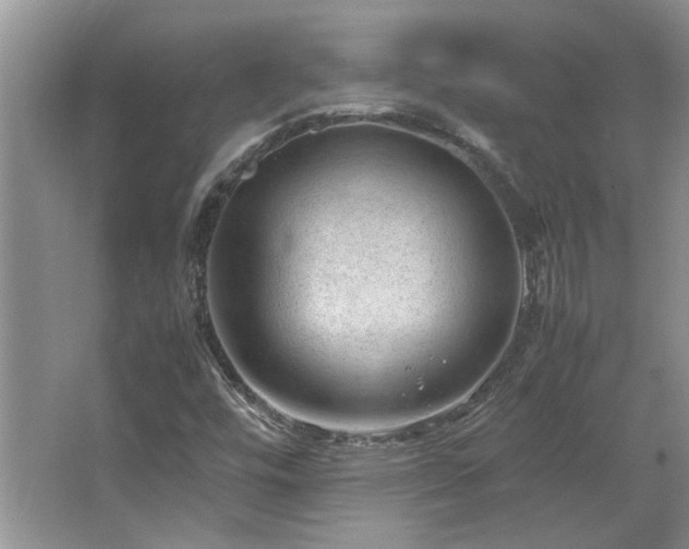 X0000064771448200602101237
