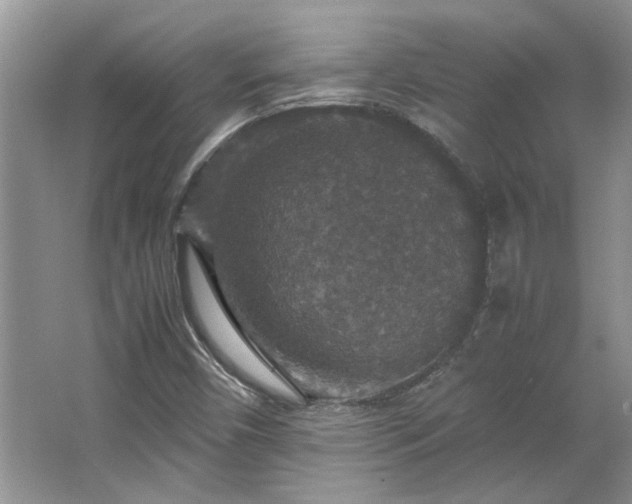 X0000064771450200602101237