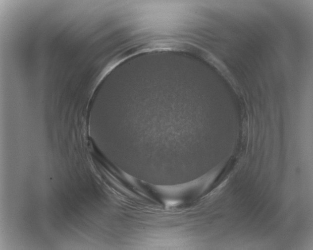 X0000064771465200602101236