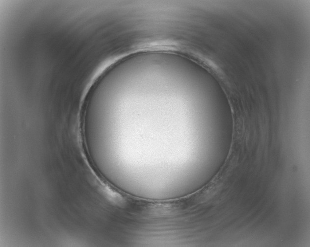 X0000064771470200602101236