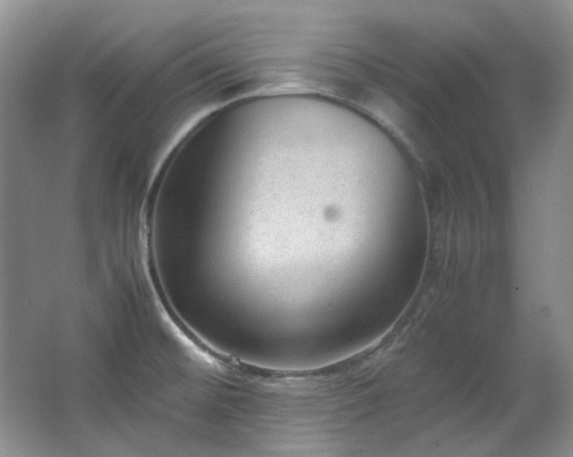 X0000064771476200602101236
